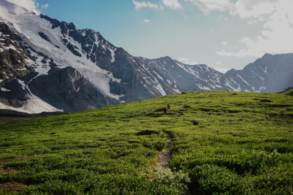 Altaiski_zapovednik-priroda